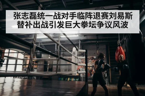 boxer training